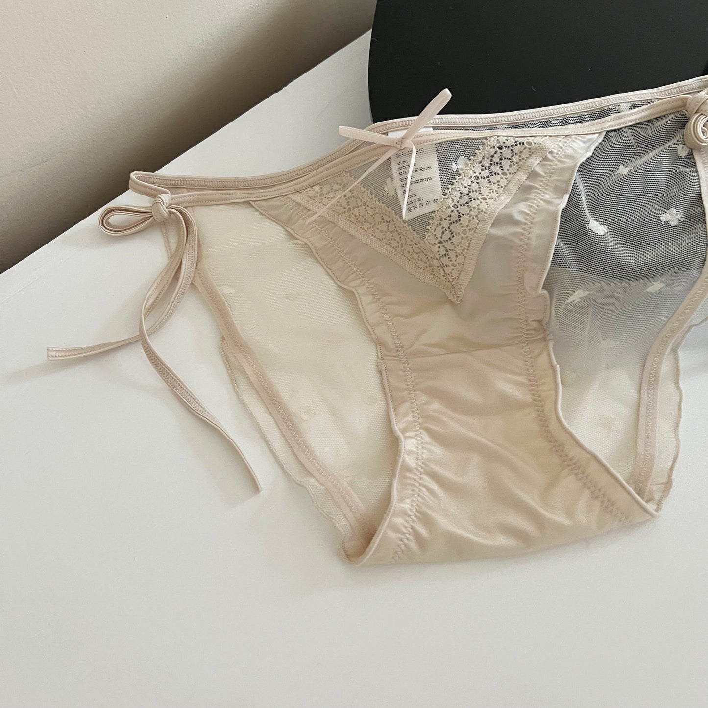 French luxury satin lace briefs