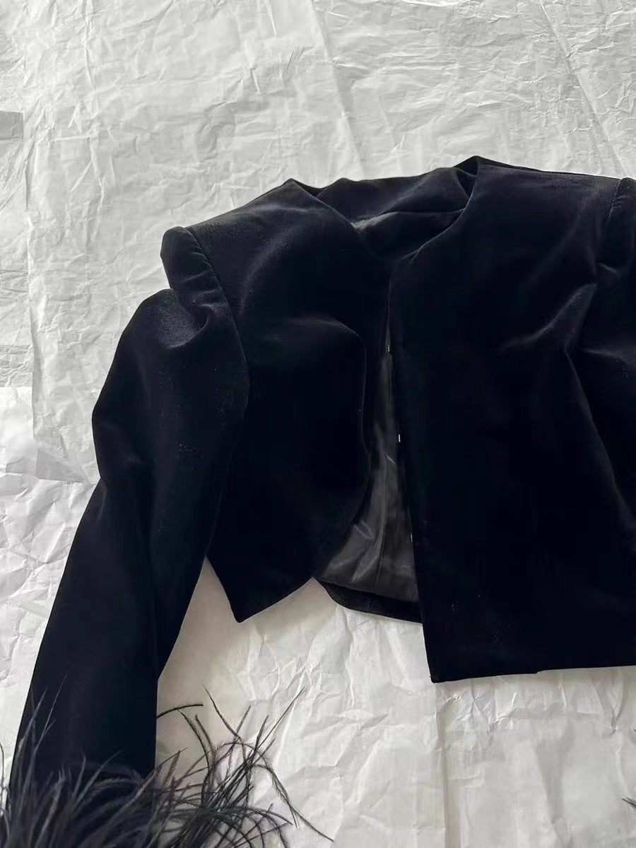 Round neck long sleeve velvet top with ostrich feather trim