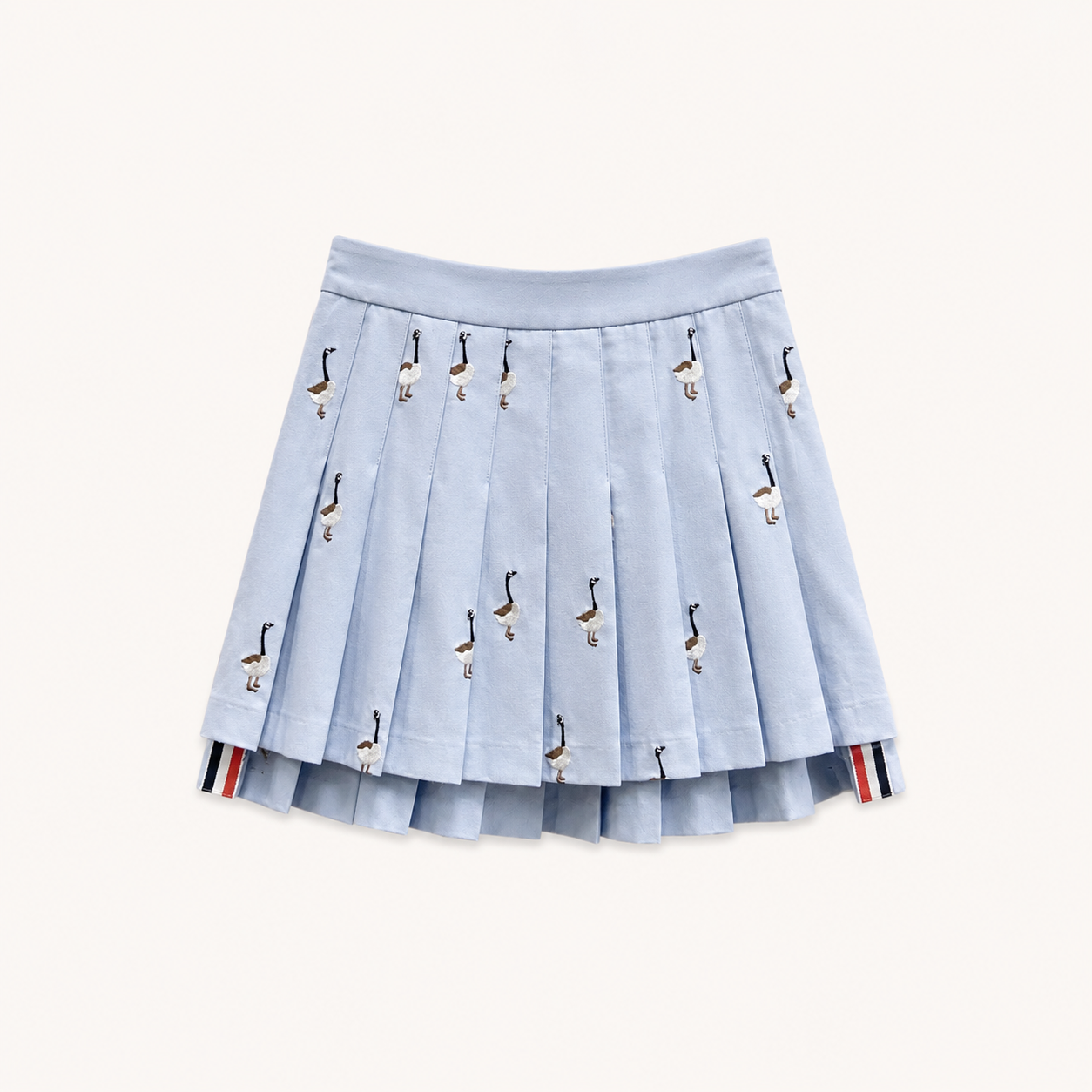 EMBROIDERED PLEATED SKIRT